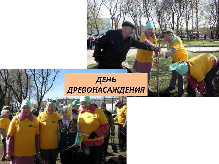 ДЕНЬ ДРЕВОНАСАЖДЕНИЯ 