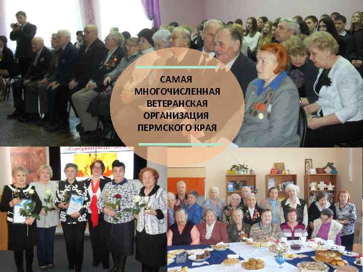 САМАЯ МНОГОЧИСЛЕННАЯ ВЕТЕРАНСКАЯ ОРГАНИЗАЦИЯ ПЕРМСКОГО КРАЯ 