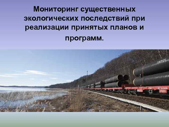 Мониторинг существенных экологических последствий при реализации принятых планов и программ. 