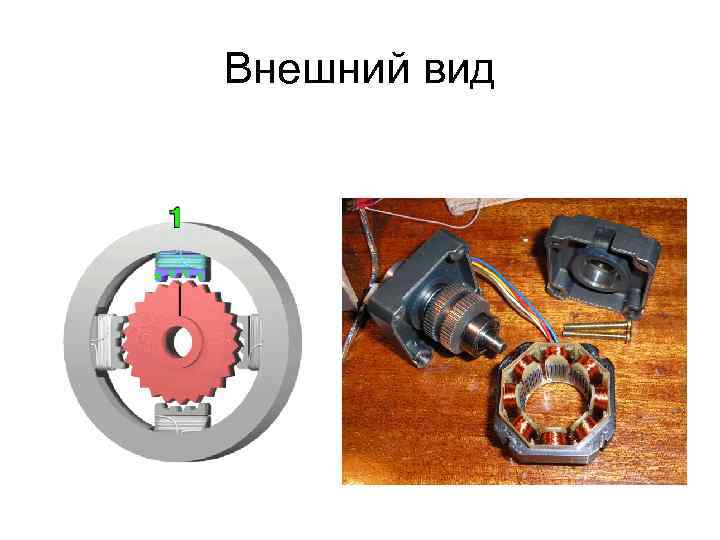 Внешний вид 