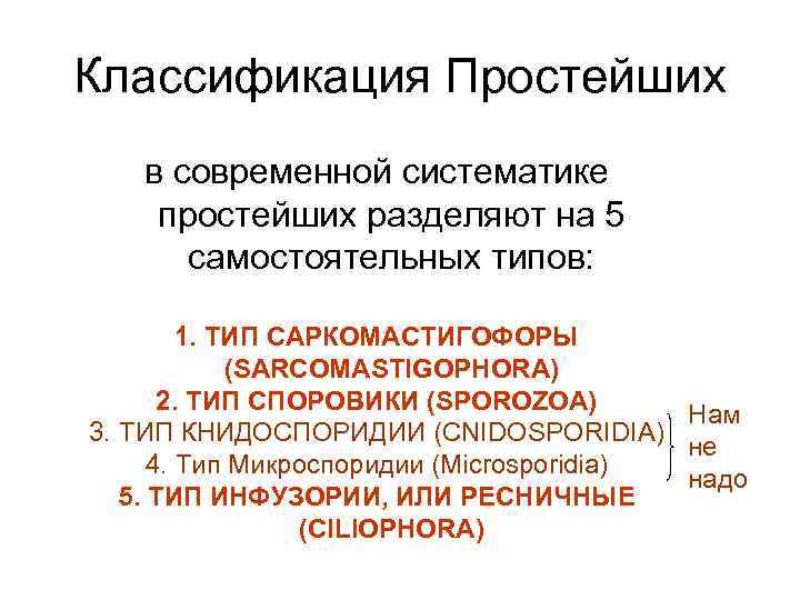 Классификация Простейших в современной систематике простейших разделяют на 5 самостоятельных типов: 1. ТИП САРКОМАСТИГОФОРЫ