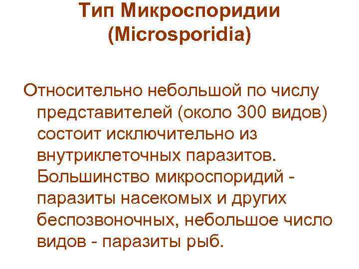 Тип Микроспоридии (Microsporidia) Относительно небольшой по числу представителей (около 300 видов) состоит исключительно из