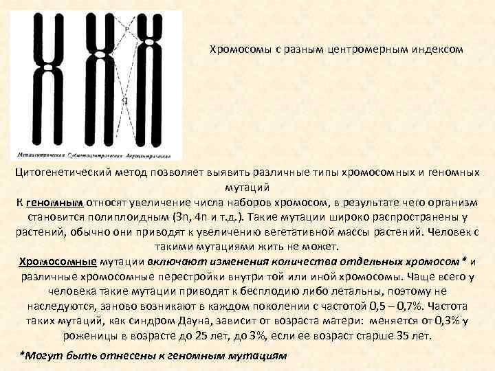 Хромосомы с разным центромерным индексом Цитогенетический метод позволяет выявить различные типы хромосомных и геномных