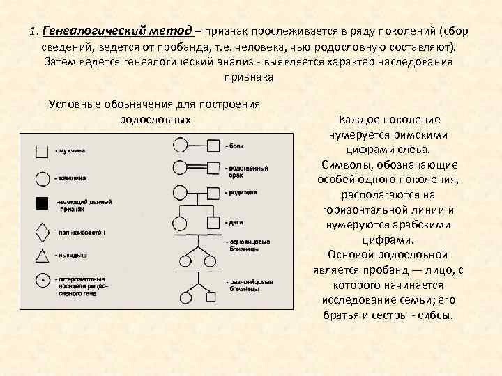 Сколько поколений представлено в графическом изображении родословной пробанда