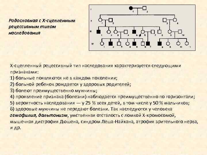 Родословная с Х-сцепленным рецессивным типом наследования Х-сцепленный рецессивный тип наследования характеризуется следующими признаками: 1)