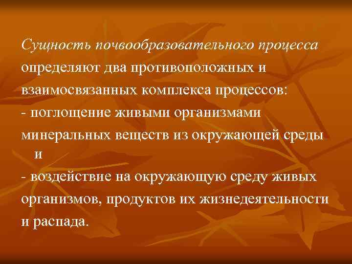 Общая схема почвообразовательного процесса и формирование почвенного профиля