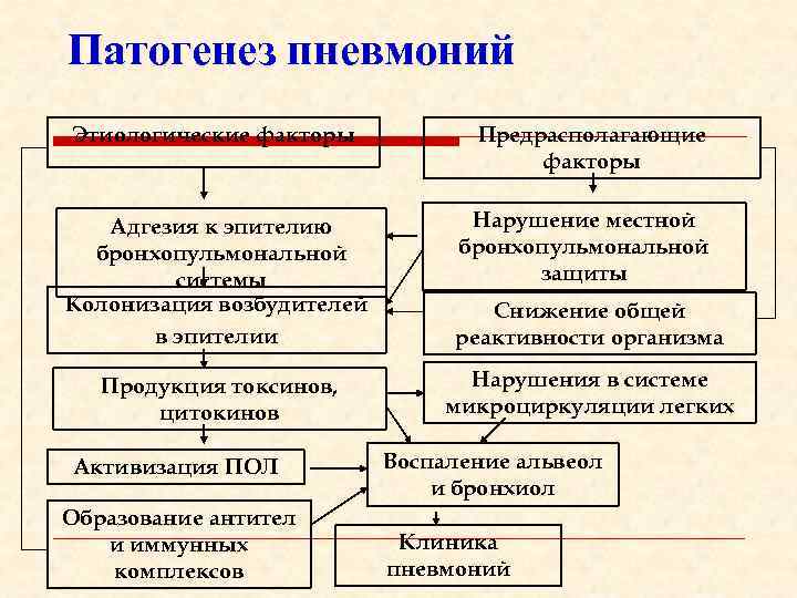 Патогенез пневмоний Этиологические факторы Предрасполагающие факторы Нарушение местной бронхопульмональной защиты Адгезия к эпителию бронхопульмональной