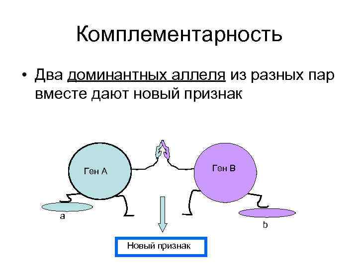 Комплементарный синтез. Генетические схемы комплементарности. Комплементарность генетика. Комплементарность генотип. Комплементарные гены.