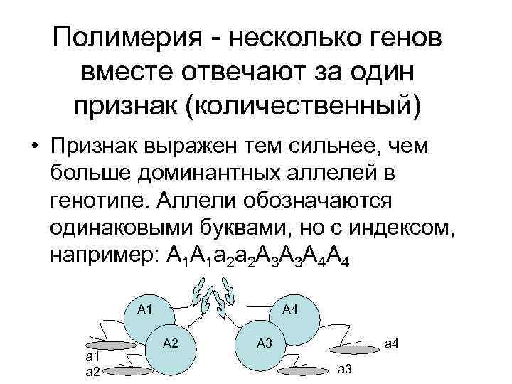 Нескольких генов