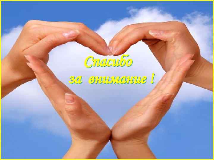 Спасибо за внимание ! 