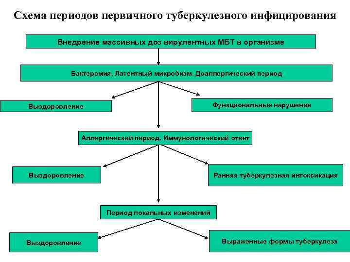 Схема периодов первичного туберкулезного инфицирования Внедрение массивных доз вирулентных МБТ в организме Бактеремия. Латентный