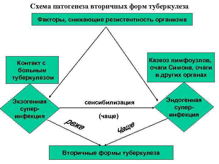 Схема патогенеза вторичных форм туберкулеза Факторы, снижающие резистентность организма Казеоз лимфоузлов, очаги Симона, очаги