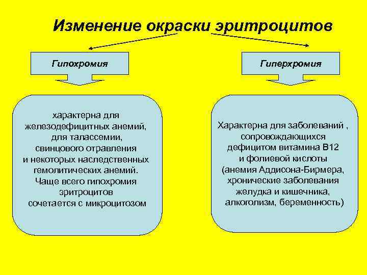 Изменение окраски эритроцитов Гипохромия характерна для железодефицитных анемий, для талассемии, свинцового отравления и некоторых