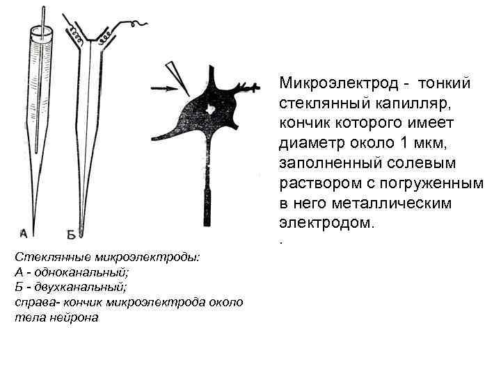 Микроэлектрод - тонкий стеклянный капилляр, кончик которого имеет диаметр около 1 мкм, заполненный солевым