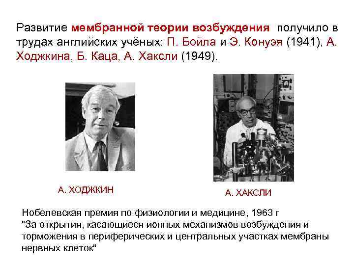 Развитие мембранной теории возбуждения получило в трудах английских учёных: П. Бойла и Э. Конуэя