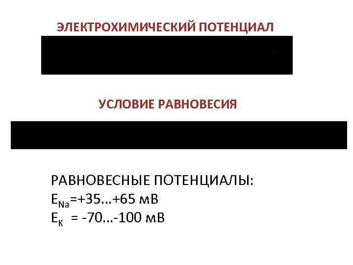 ЭЛЕКТРОХИМИЧЕСКИЙ ПОТЕНЦИАЛ УСЛОВИЕ РАВНОВЕСИЯ РАВНОВЕСНЫЕ ПОТЕНЦИАЛЫ: ENa=+35…+65 м. В EK = -70…-100 м. В