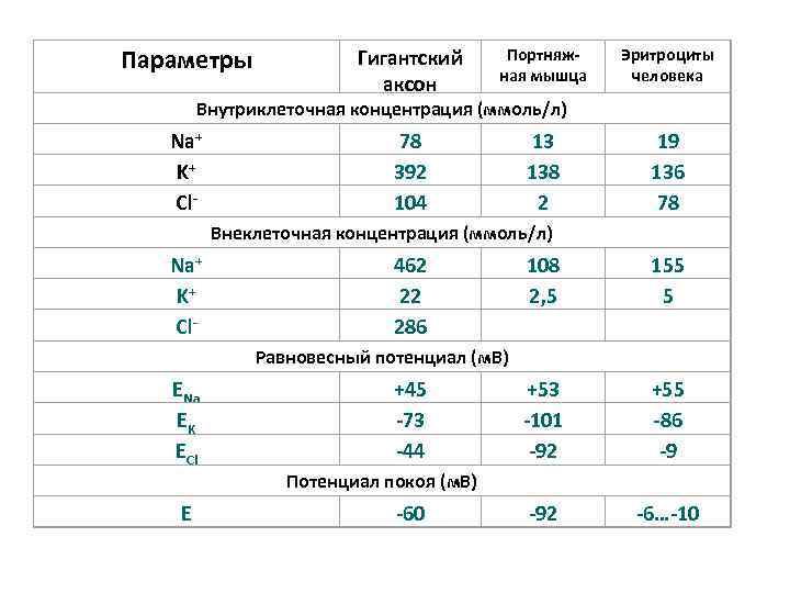 Параметры Гигантский аксон Портняжная мышца 78 392 104 13 138 2 Эритроциты человека Внутриклеточная