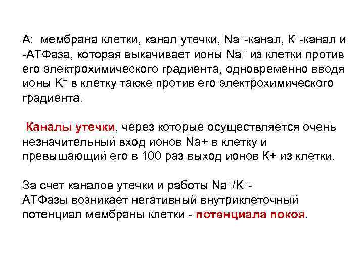 А: мембрана клетки, канал утечки, Nа+-канал, К+-канал и -АТФаза, которая выкачивает ионы Na+ из