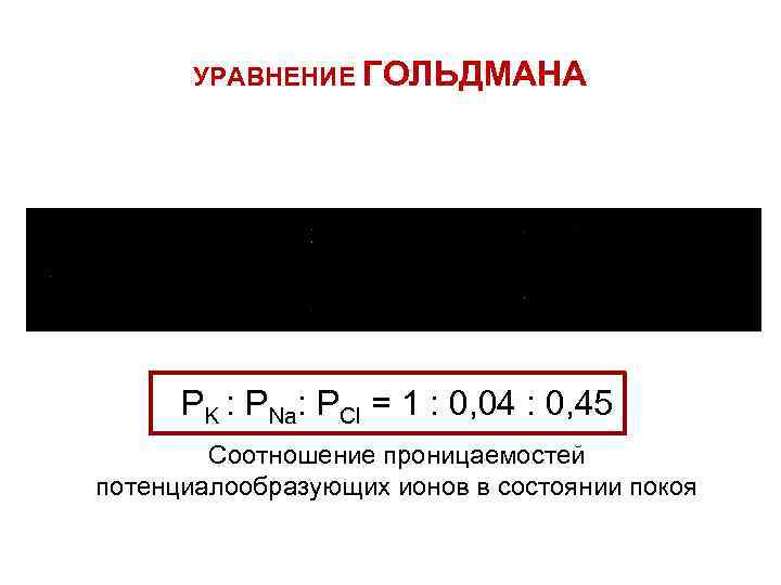 УРАВНЕНИЕ ГОЛЬДМАНА PK : PNa: PCl = 1 : 0, 04 : 0, 45