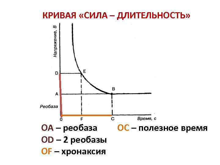 Кривая времени. Кривая «сила-Длительность». Реобаза, хронаксия, лабильность. Кривая 