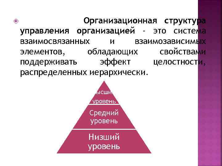  Организационная структура управления организацией - это система взаимосвязанных и взаимозависимых элементов, обладающих свойствами