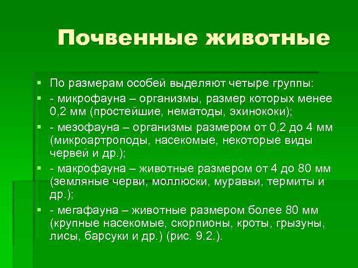 Почвенные животные § По размерам особей выделяют четыре группы: § - микрофауна – организмы,