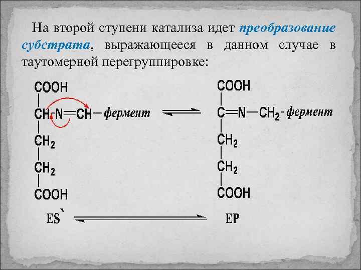 На второй ступени катализа идет преобразование субстрата, выражающееся в данном случае в таутомерной перегруппировке: