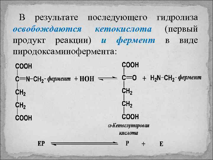 В результате последующего гидролиза освобождаются кетокислота (первый продукт реакции) и фермент в виде пиродоксаминофермента: