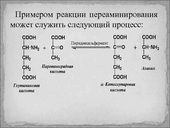 Примером реакции переаминирования может служить следующий процесс: 