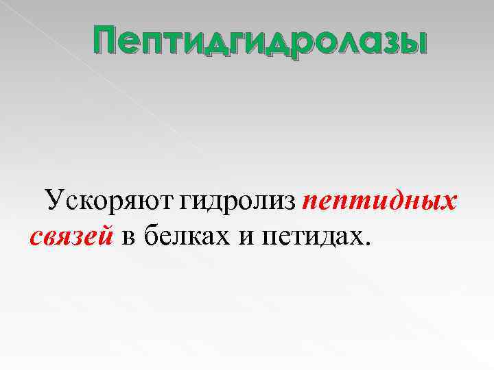 Пептидгидролазы Ускоряют гидролиз пептидных связей в белках и петидах. 