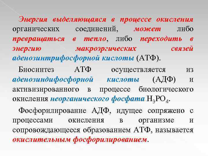 Энергия выделяющаяся в процессе окисления органических соединений, может либо превращаться в тепло, либо переходить