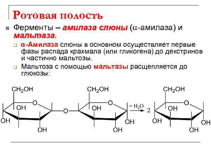 Крахмал амилаза слюны