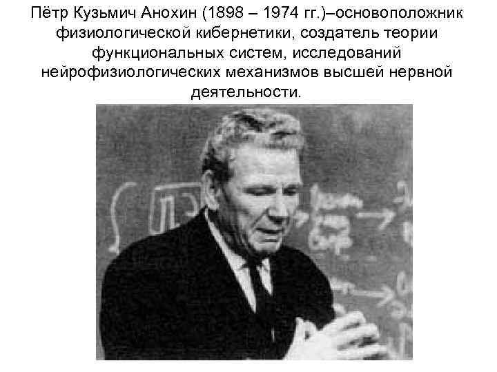 Пётр Кузьмич Анохин (1898 – 1974 гг. )–основоположник физиологической кибернетики, создатель теории функциональных систем,