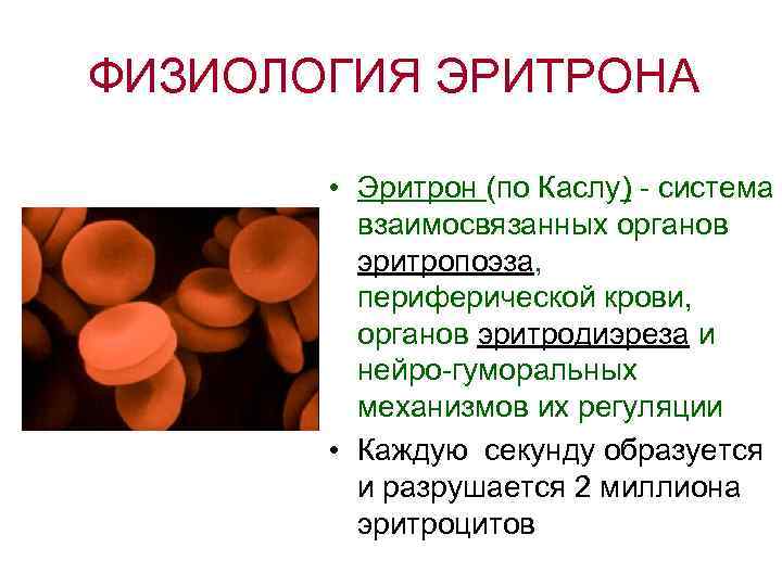 Особенность картины периферической крови при висцеральной форме лейшманиоза