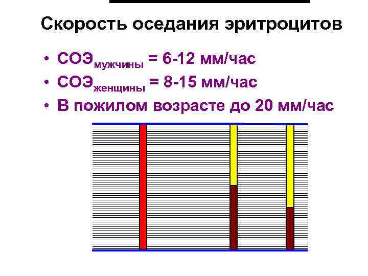 Скорость оседания эритроцитов • СОЭмужчины = 6 -12 мм/час • СОЭженщины = 8 -15