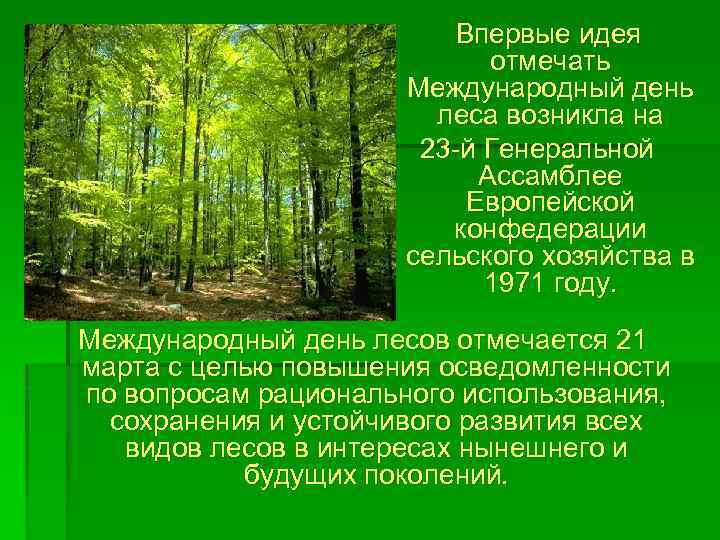 День леса в мире