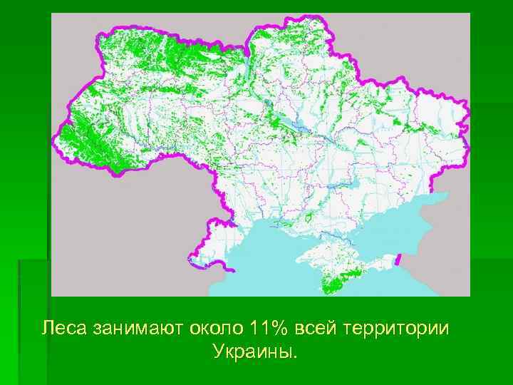 Леса занимают около 11% всей территории Украины. 