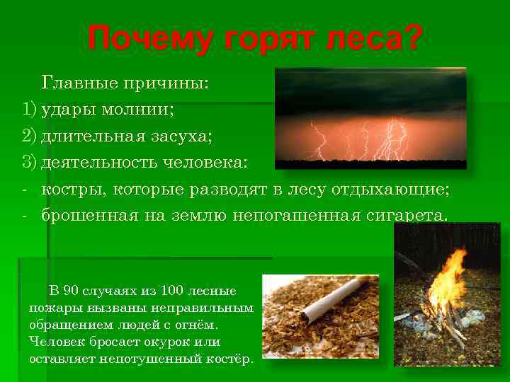 Почему горят леса? Главные причины: 1) удары молнии; 2) длительная засуха; 3) деятельность человека: