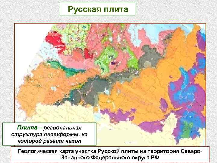 Русская плита Плита – региональная структура платформы, на которой развит чехол Геологическая карта участка