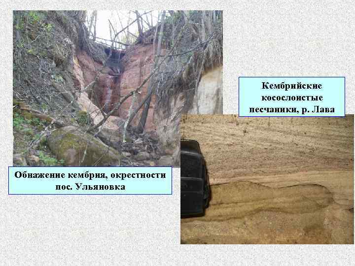 Кембрийские косослоистые песчаники, р. Лава Обнажение кембрия, окрестности пос. Ульяновка 