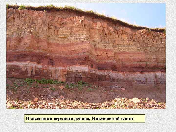 Известняки верхнего девона, Ильменский глинт 