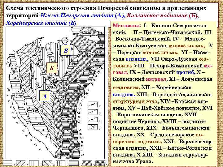 Тимано печорская. Тектоническая карта Тимано-Печорской провинции. Схема тектонического строения Печорской синеклизы. Тимано-Печорская провинция тектоническое строение. Схема тектонического районирования Тимано Печорской провинции.