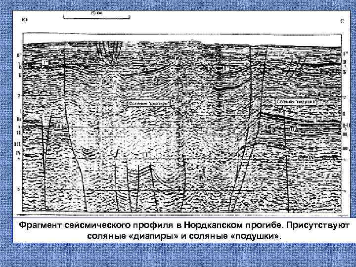 Фрагмент сейсмического профиля в Нордкапском прогибе. Присутствуют соляные «диапиры» и соляные «подушки» . 