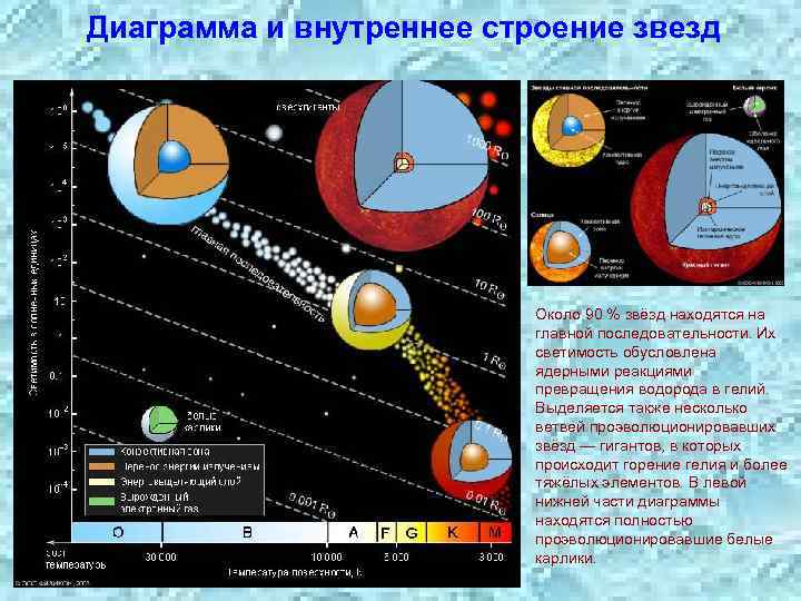 Диаграмма и внутреннее строение звезд Около 90 % звёзд находятся на главной последовательности. Их