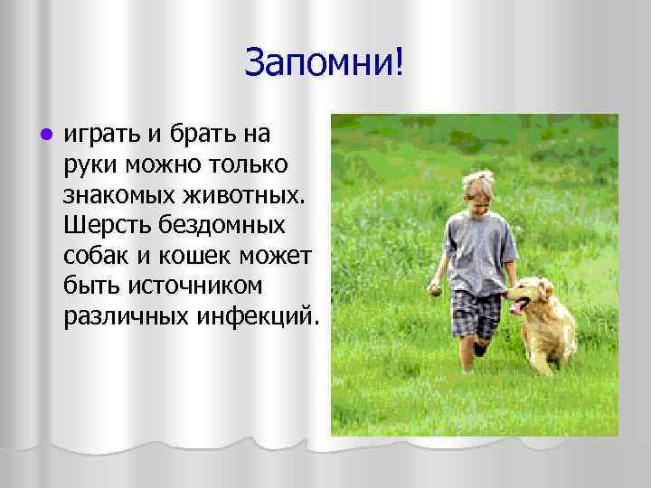 Запомни! l играть и брать на руки можно только знакомых животных. Шерсть бездомных собак