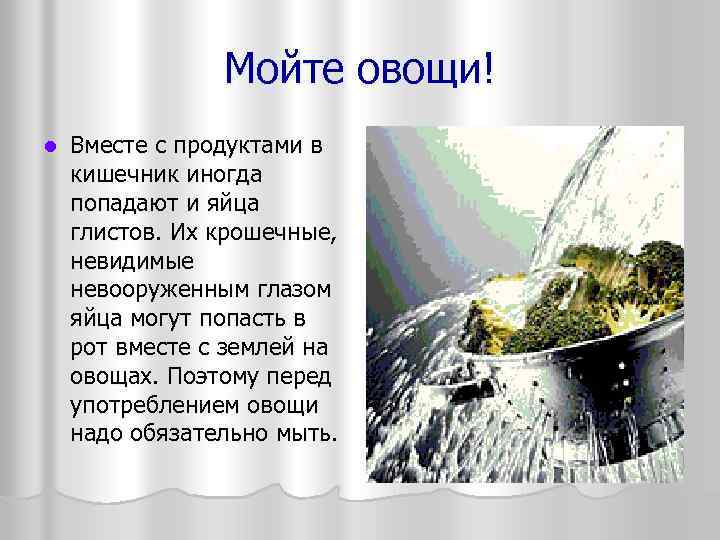 Мойте овощи! l Вместе с продуктами в кишечник иногда попадают и яйца глистов. Их
