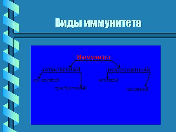 Виды иммунитета 