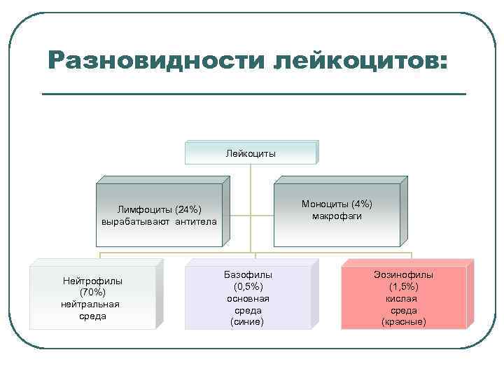 Разновидности лейкоцитов: Лейкоциты Моноциты (4%) макрофаги Лимфоциты (24%) вырабатывают антитела Нейтрофилы (70%) нейтральная среда