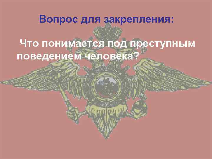 Вопрос для закрепления: Что понимается под преступным поведением человека? 