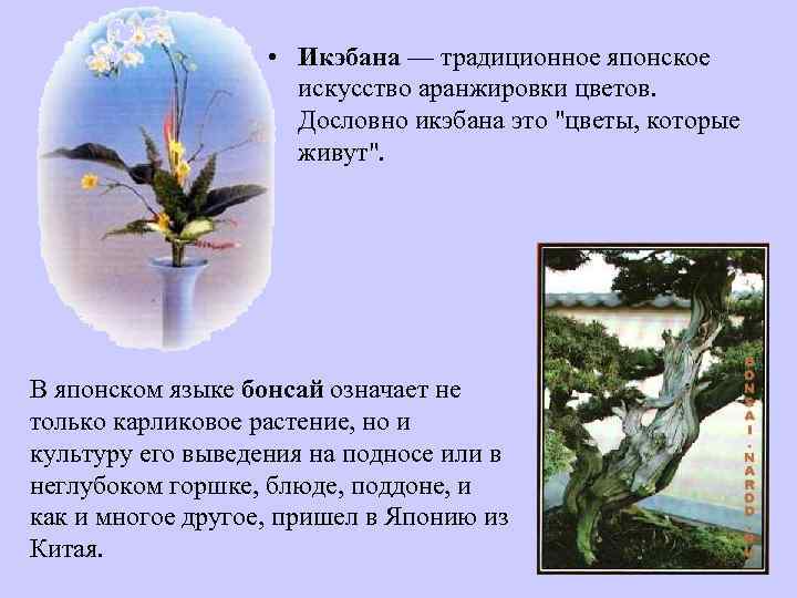  • Икэбана — традиционное японское искусство аранжировки цветов. Дословно икэбана это 